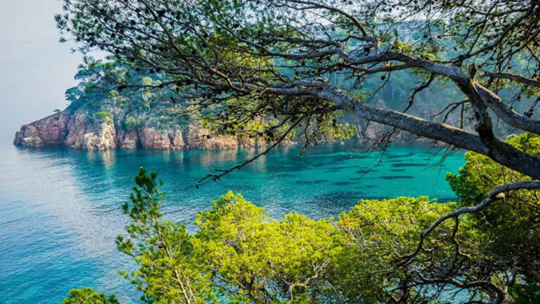 temperatura del mar en España