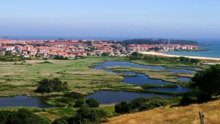 Las marismas de Santoña confirman su papel clave para las aves migratorias