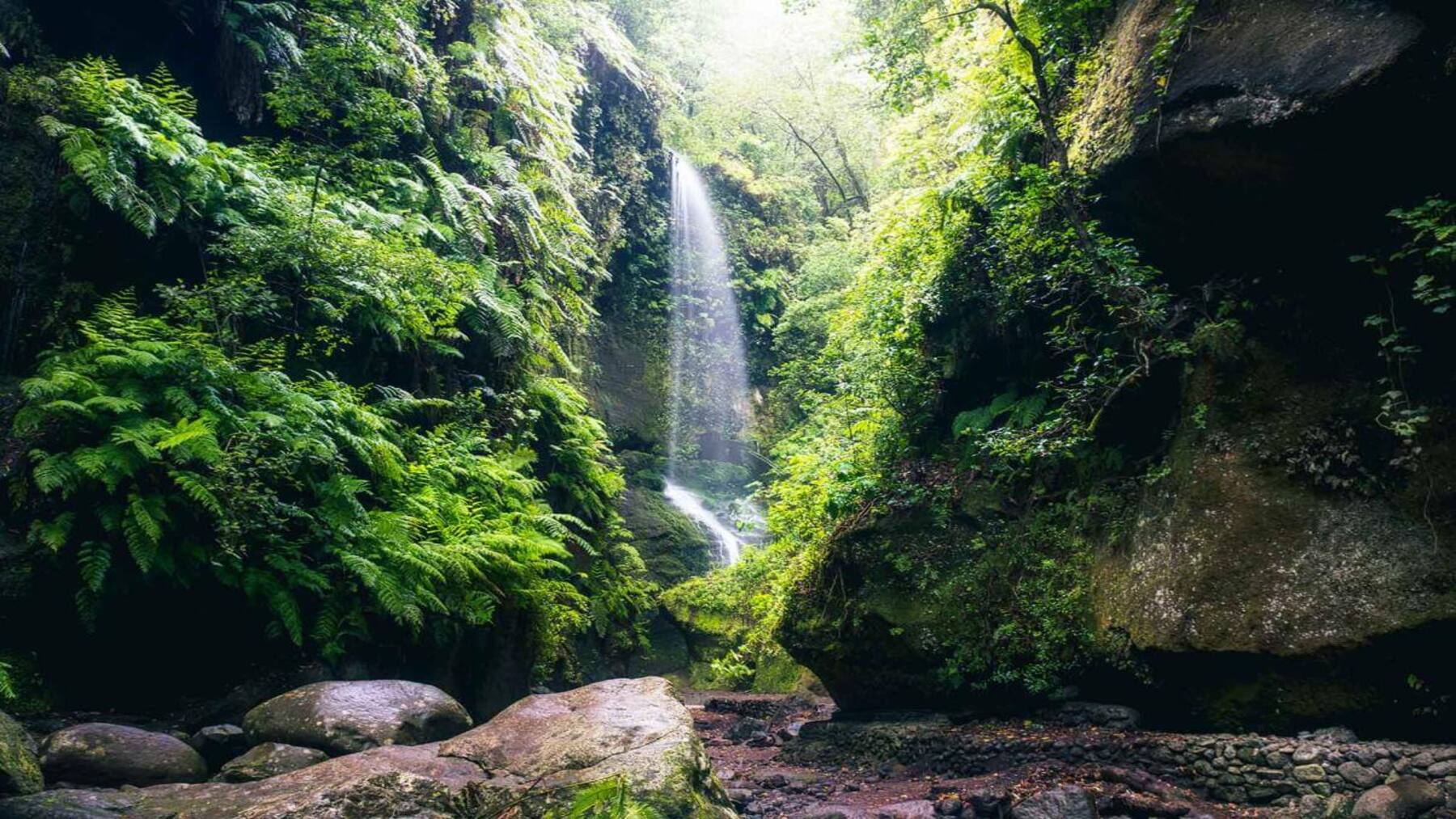 La Palma celebra la Semana de la Biosfera