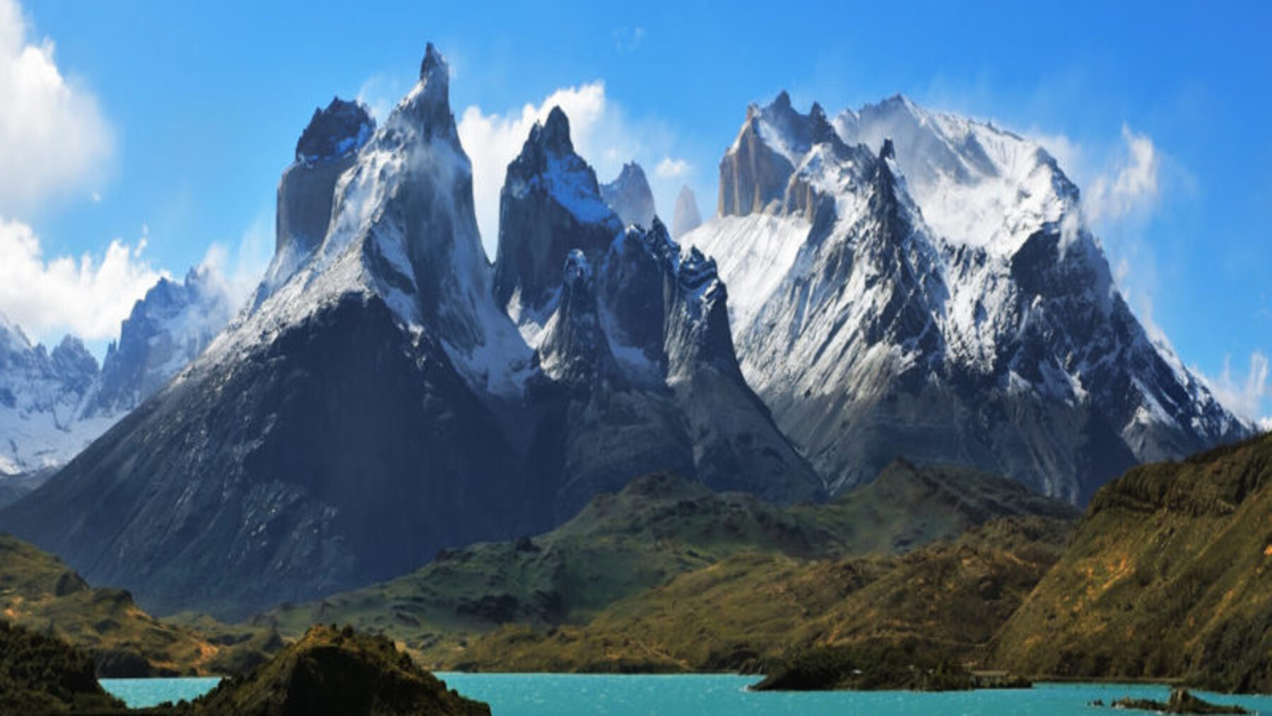 Descubren once nuevas especies de plantas en los bosques andinos