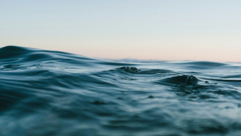 Las olas de calor marinas podrían afectar al 40 % de los océanos este año