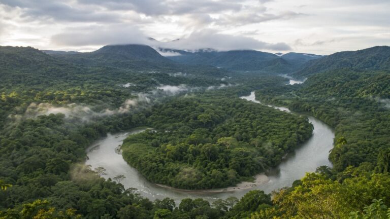 Vista aérea de la selva tropical de Costa Rica, uno de los mayores ejemplos de recuperación forestal y reforestación del mundo.