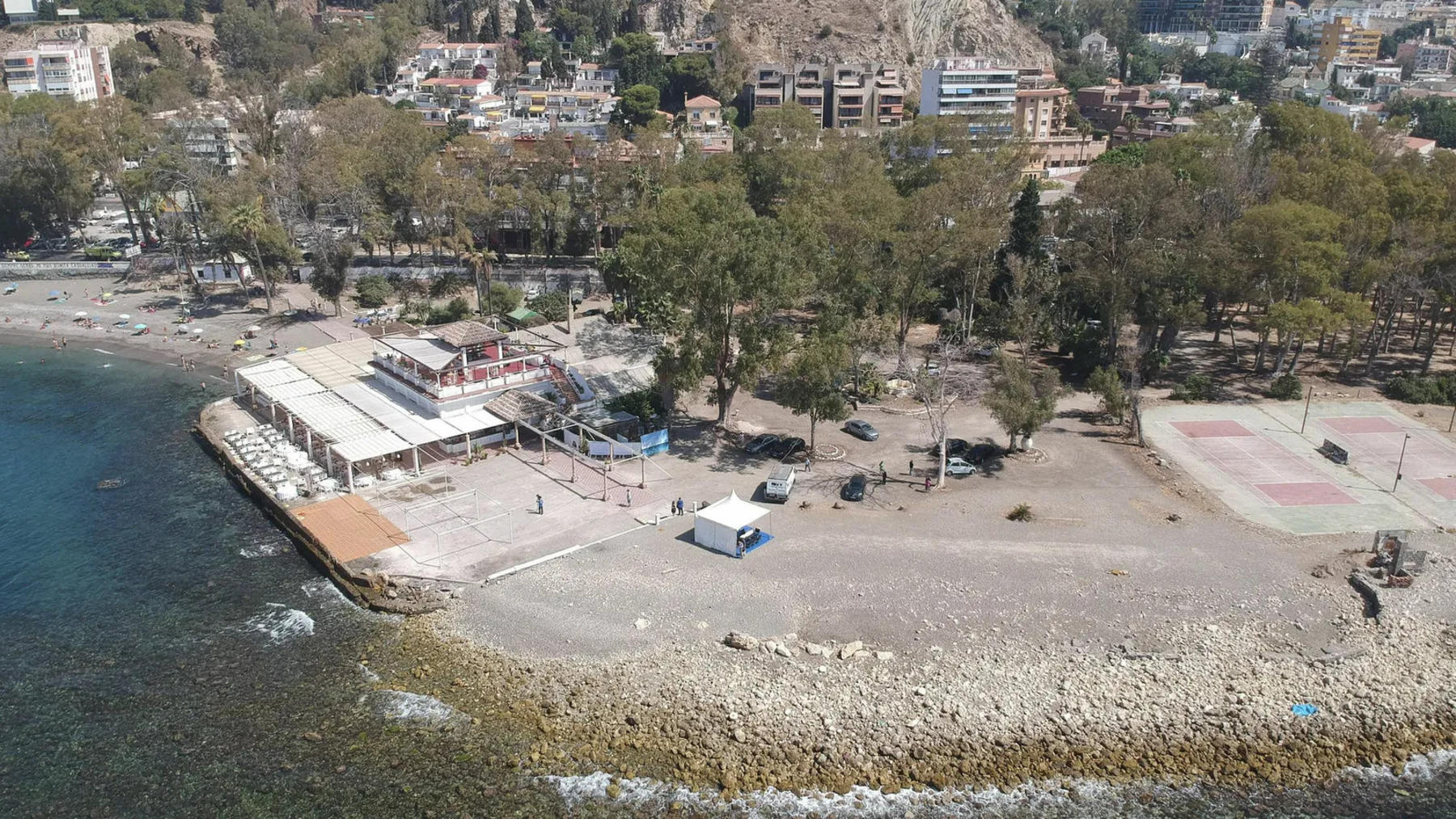 Baños del Carmen pone en riesgo una población de Patella ferruginea en peligro crítico