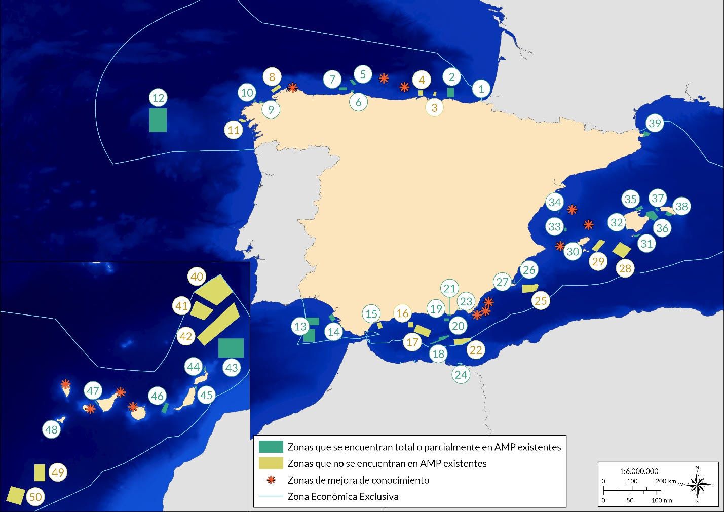 España debe ampliar la protección estricta del mar para restaurar la biodiversidad, reclama Oceana 1 unnamed