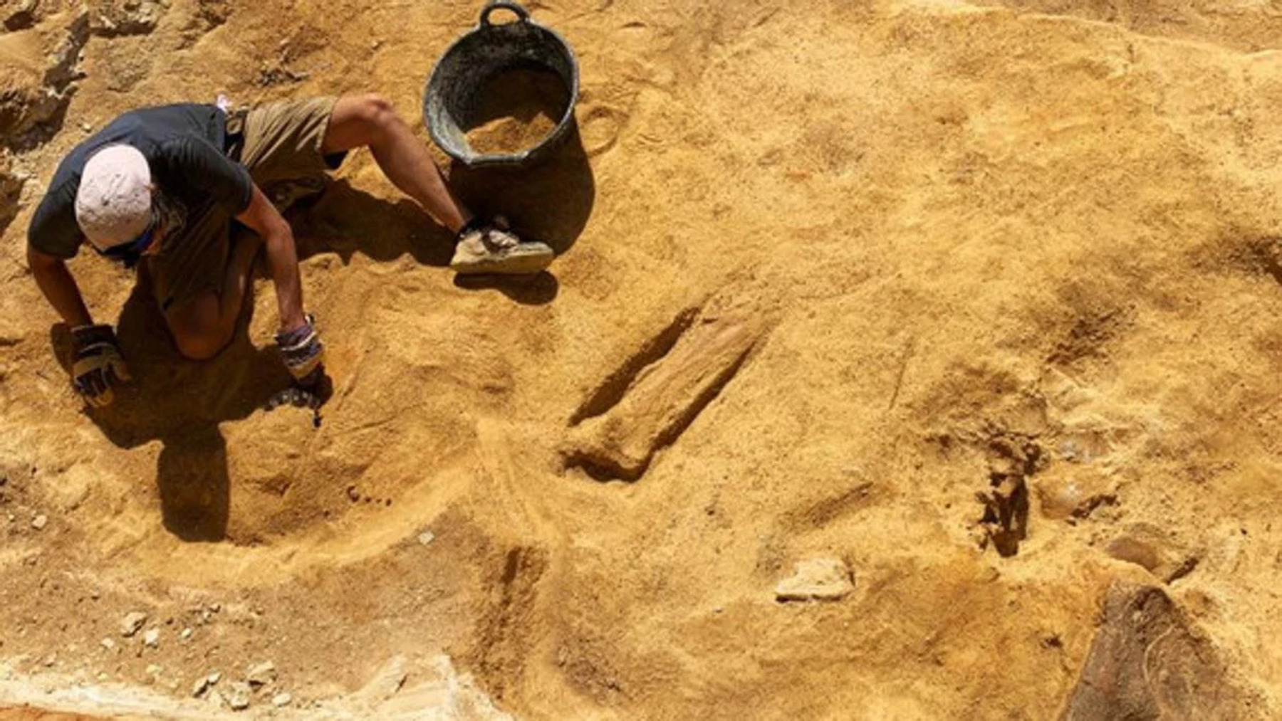 Los dinosaurios de Guadalajara reescriben la historia evolutiva de Europa