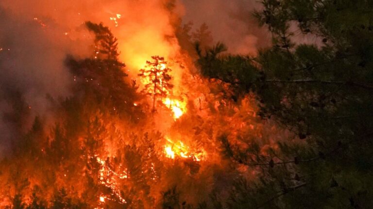 Collserola vuelve a arder