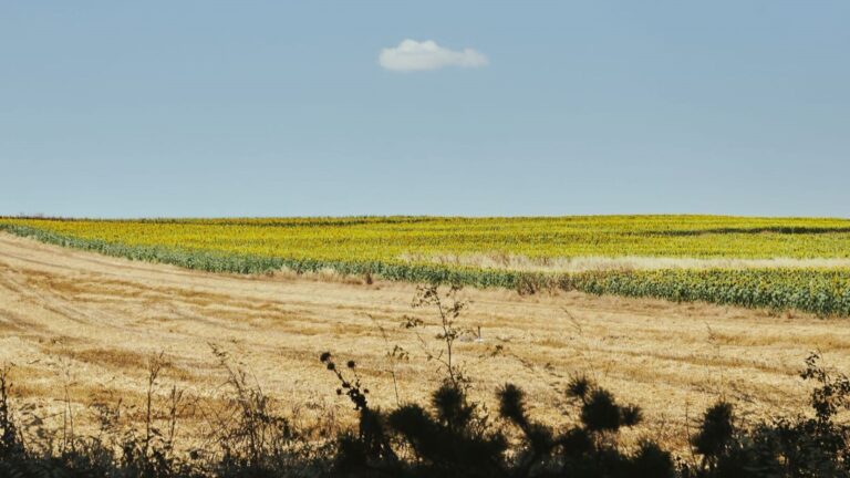 La FAO alerta de un verano climático excepcional