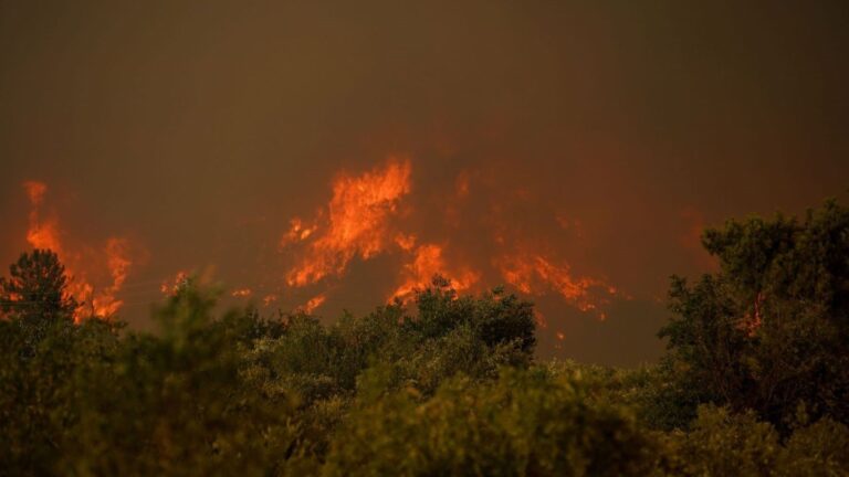 El incendio de la Vall d'Uixó arrasa espacios protegidos