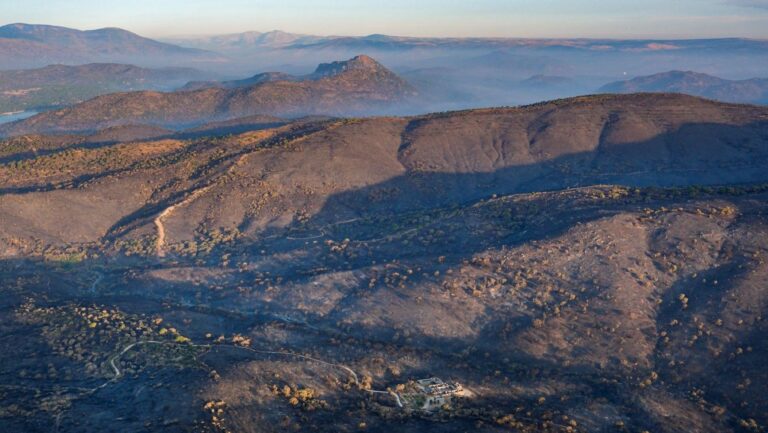 Greenpeace alerta del desastre tras los incendios históricos en España con imágenes aéreas inéditas.