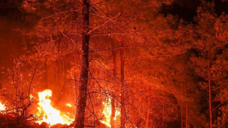 Incendios forestales en España hoy 21 de agosto