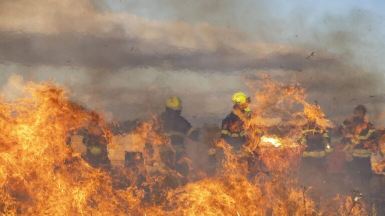 Andalucía necesita un cambio urgente contra los incendios forestales