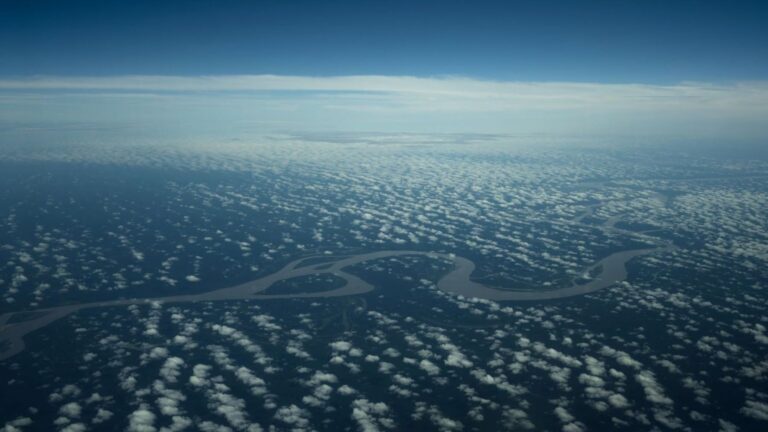 La Amazonía podría alcanzar su punto de no retorno en 2040