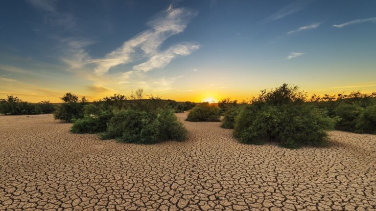 La degradación de la tierra dispara una factura mundial de 878.000 millones