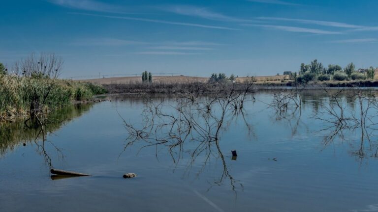Las Tablas de Daimiel mantienen 850 hectáreas inundadas en verano