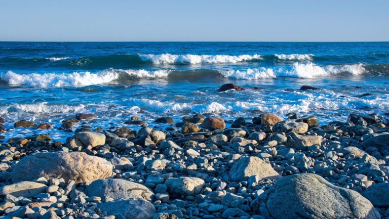 El Mediterráneo afronta su mayor desafío ambiental