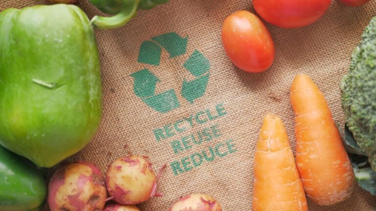 NATEXPO 2026 anticipa el futuro de la alimentación ecológica
