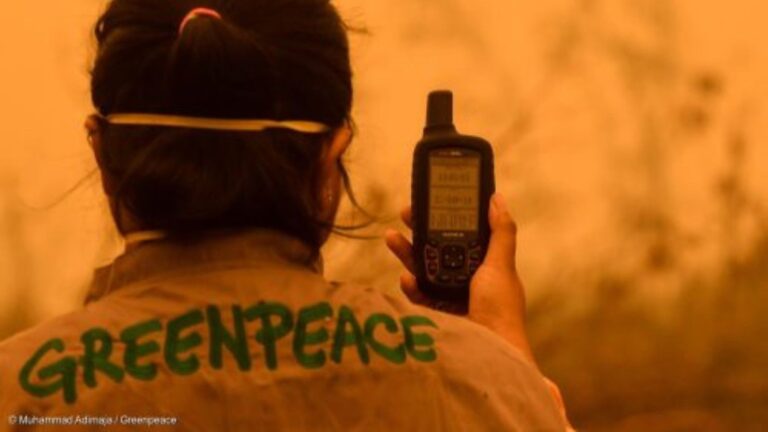 Greenpeace exige 1.000 millones al año para prevenir incendios en España