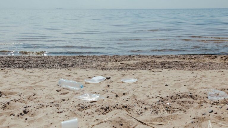 La playa que disfrutas hoy depende de lo que dejes mañana