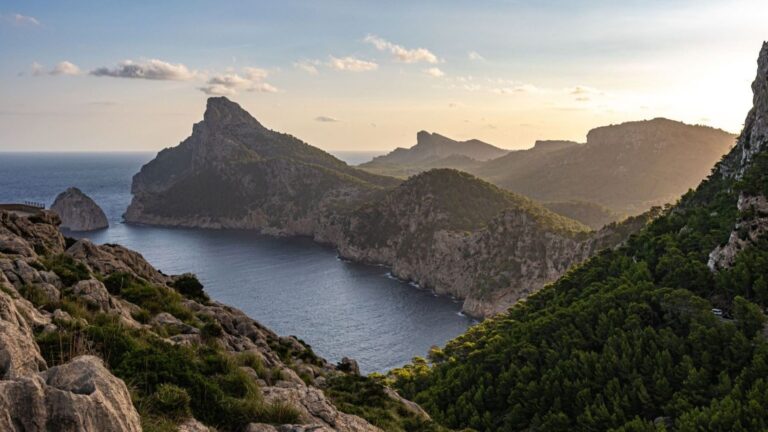 Una cámara submarina muestra en directo el fondo marino de Mallorca