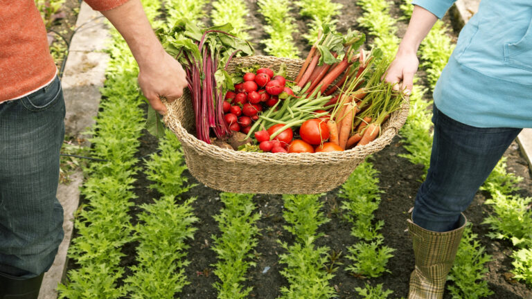 Pamplona impulsa un plan de agroecología para reforzar la alimentación sostenible