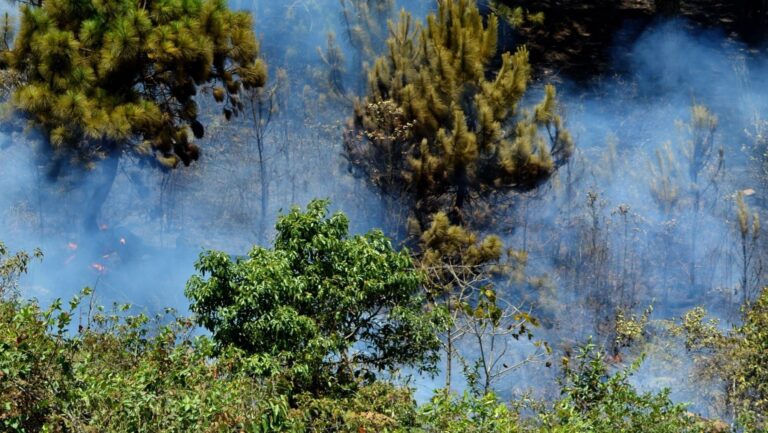 última hora incendios forestales España agosto 2026