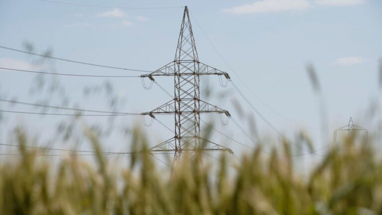 Costes energéticos del sector ecológico en una explotación agrícola bio
