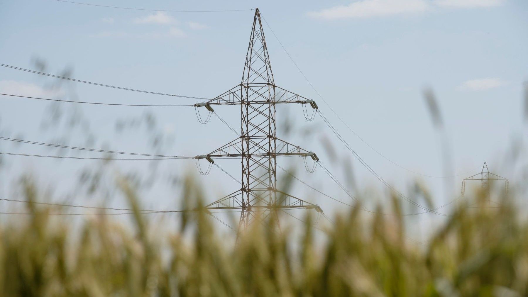Costes energéticos del sector ecológico en una explotación agrícola bio