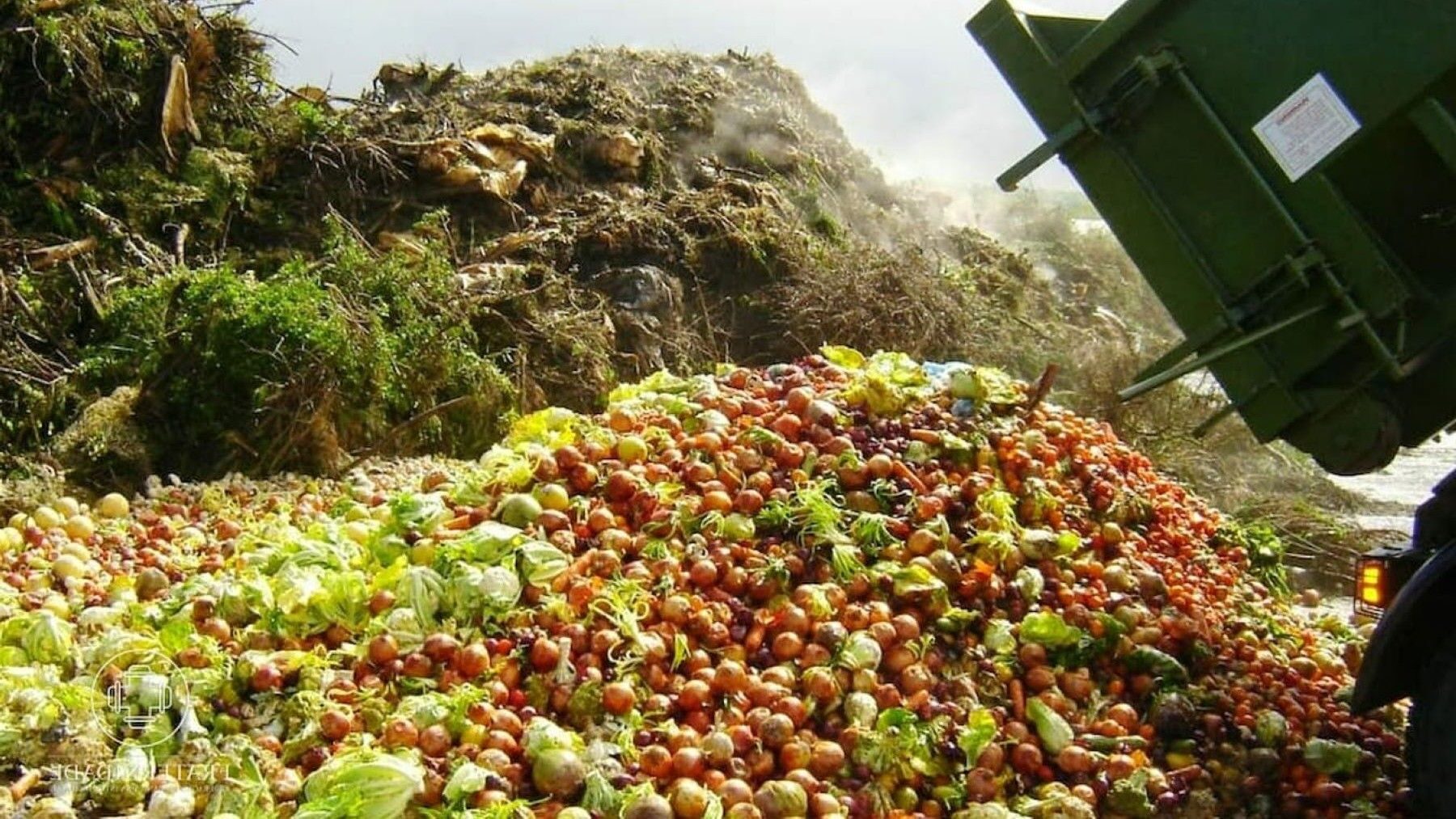 Frutas sin recoger que ilustran el desperdicio alimentario en una explotación agrícola