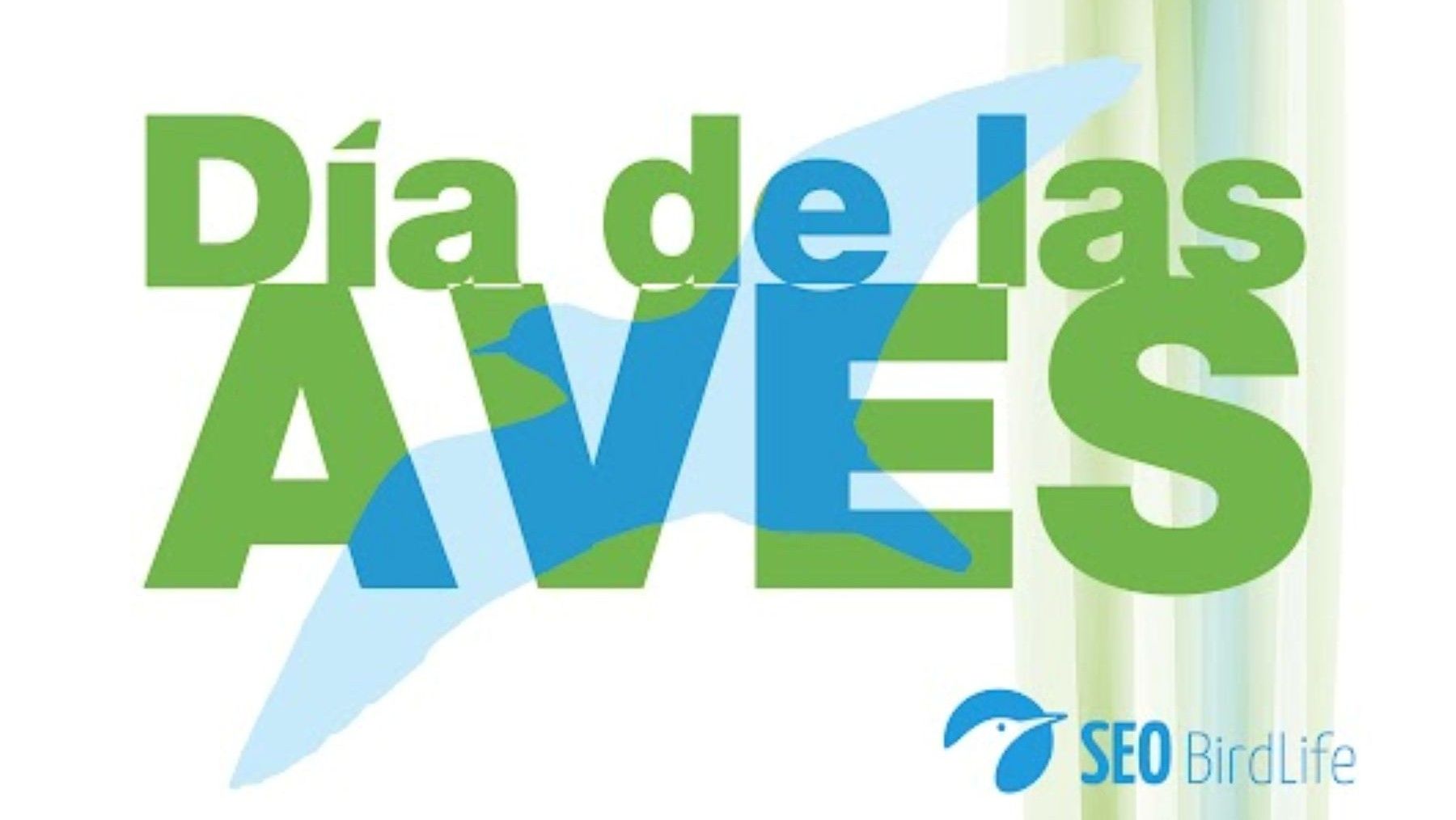 Observación de aves silvestres durante el Día de las Aves 2026