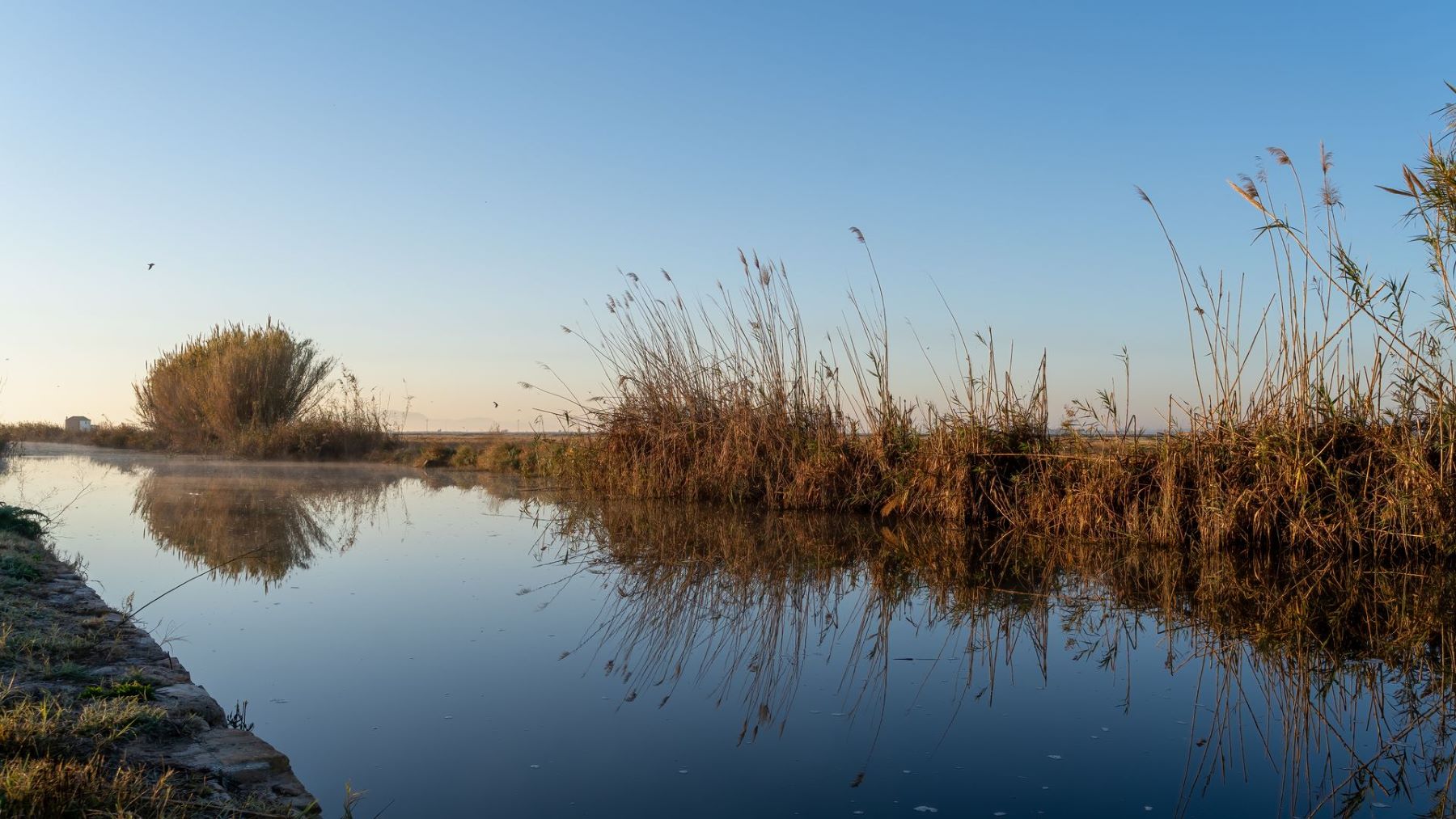 8.5 millones para agricultura sostenible en cultivos de secano y producción ecológica de Doñana