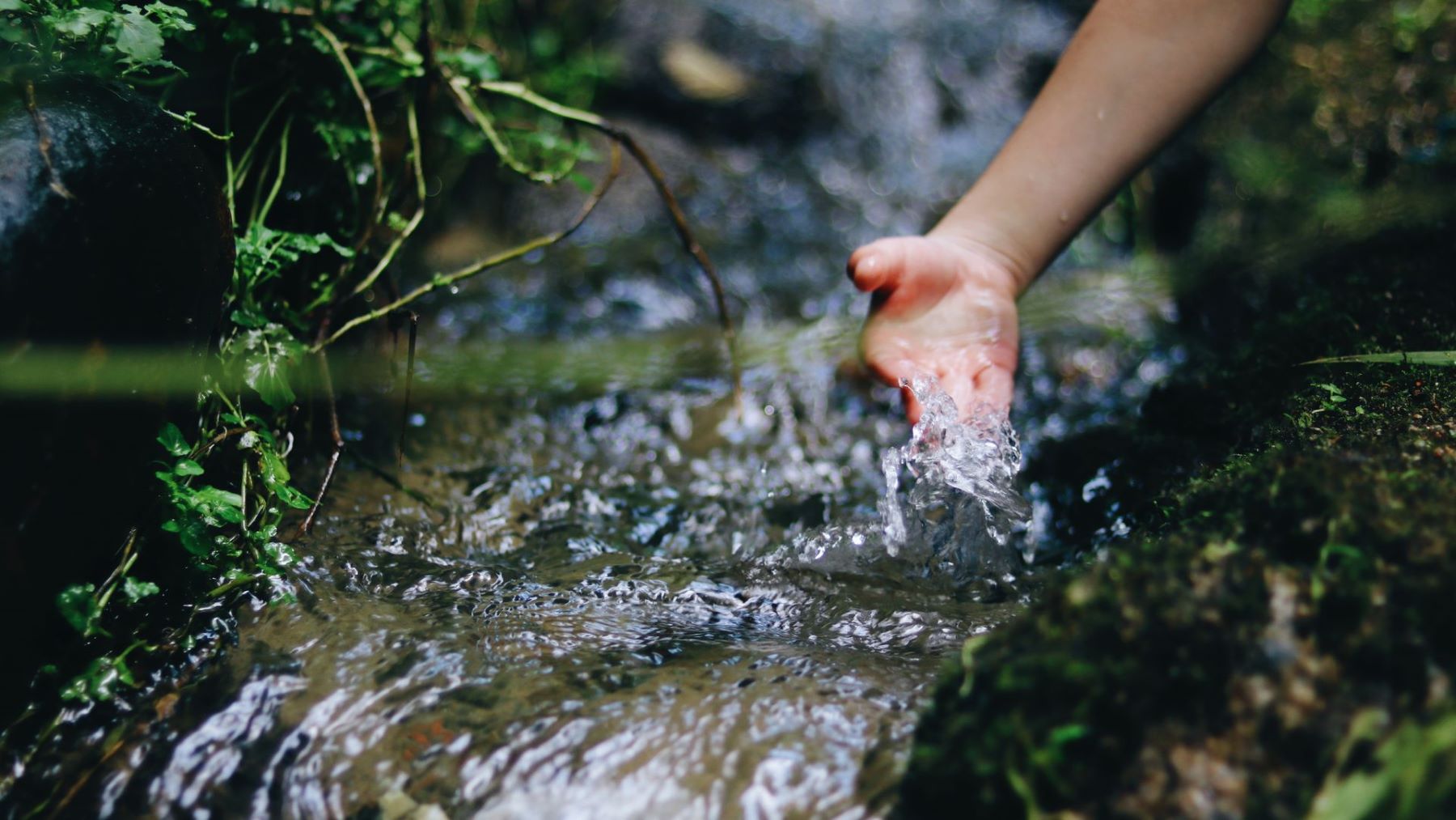 Día Mundial del Control de la Calidad del Agua 2026 promueve el análisis de ríos y lagos