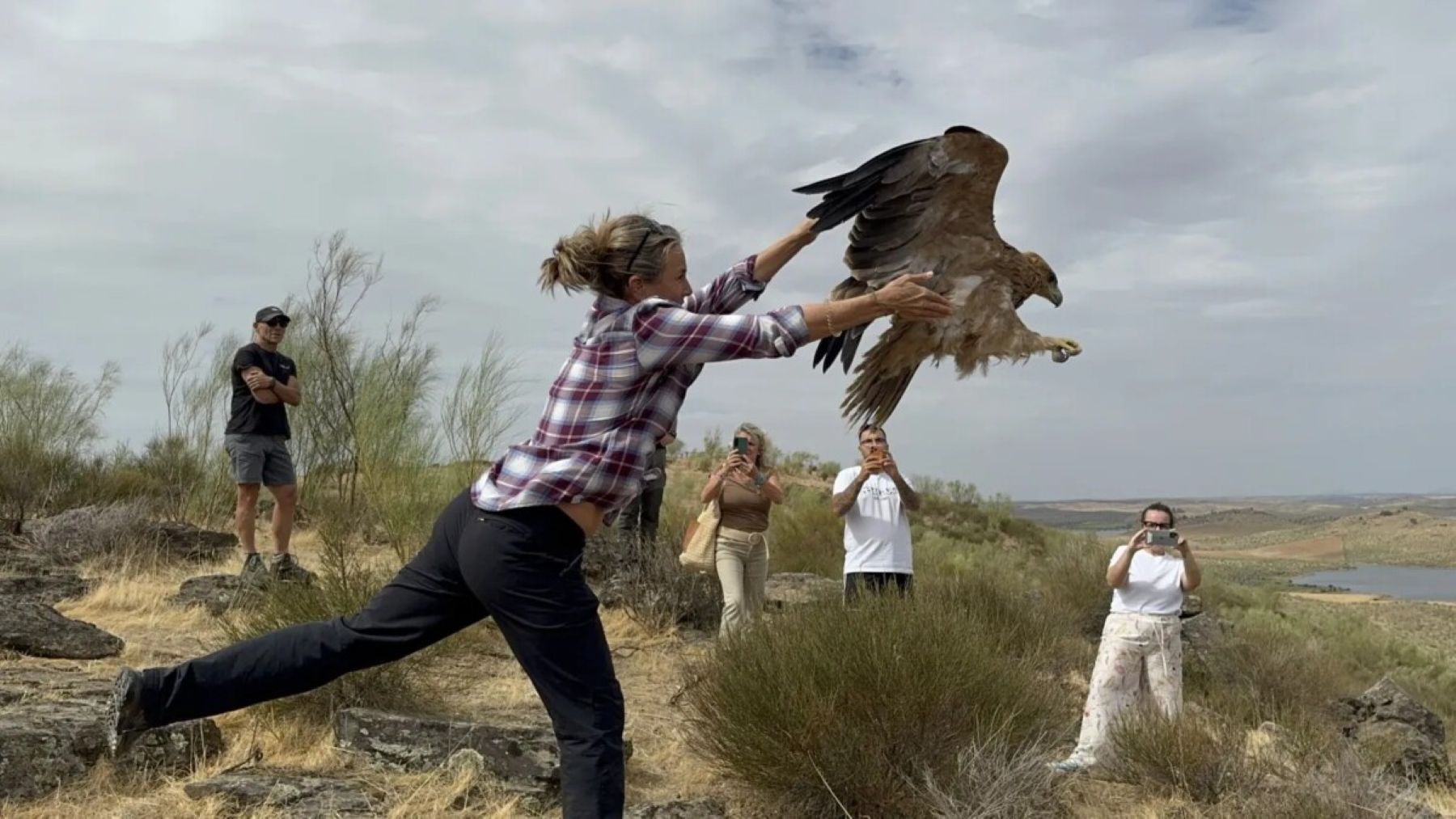 El rescate de rapaces culmina con la liberación del águila imperial Félix en Badajoz
