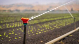 El robo de agua en España afecta a más de 80.000 hectáreas bajo sospecha