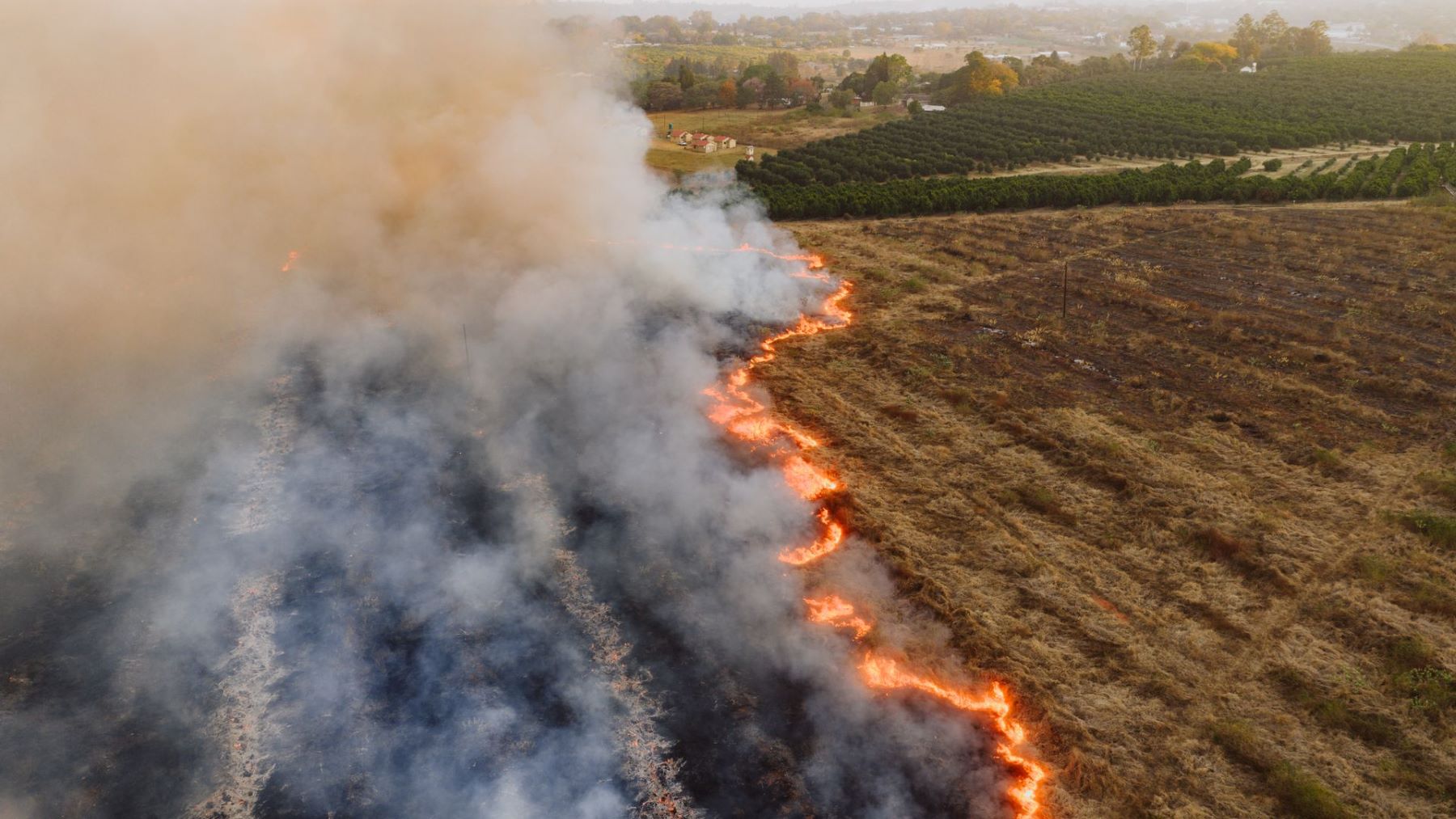 parálisis ambiental en España denunciada por Greenpeace