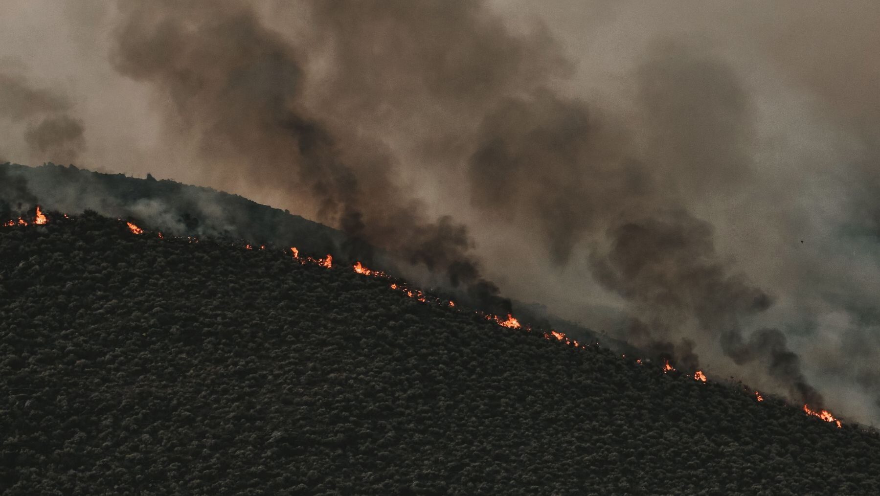 Incendios forestales