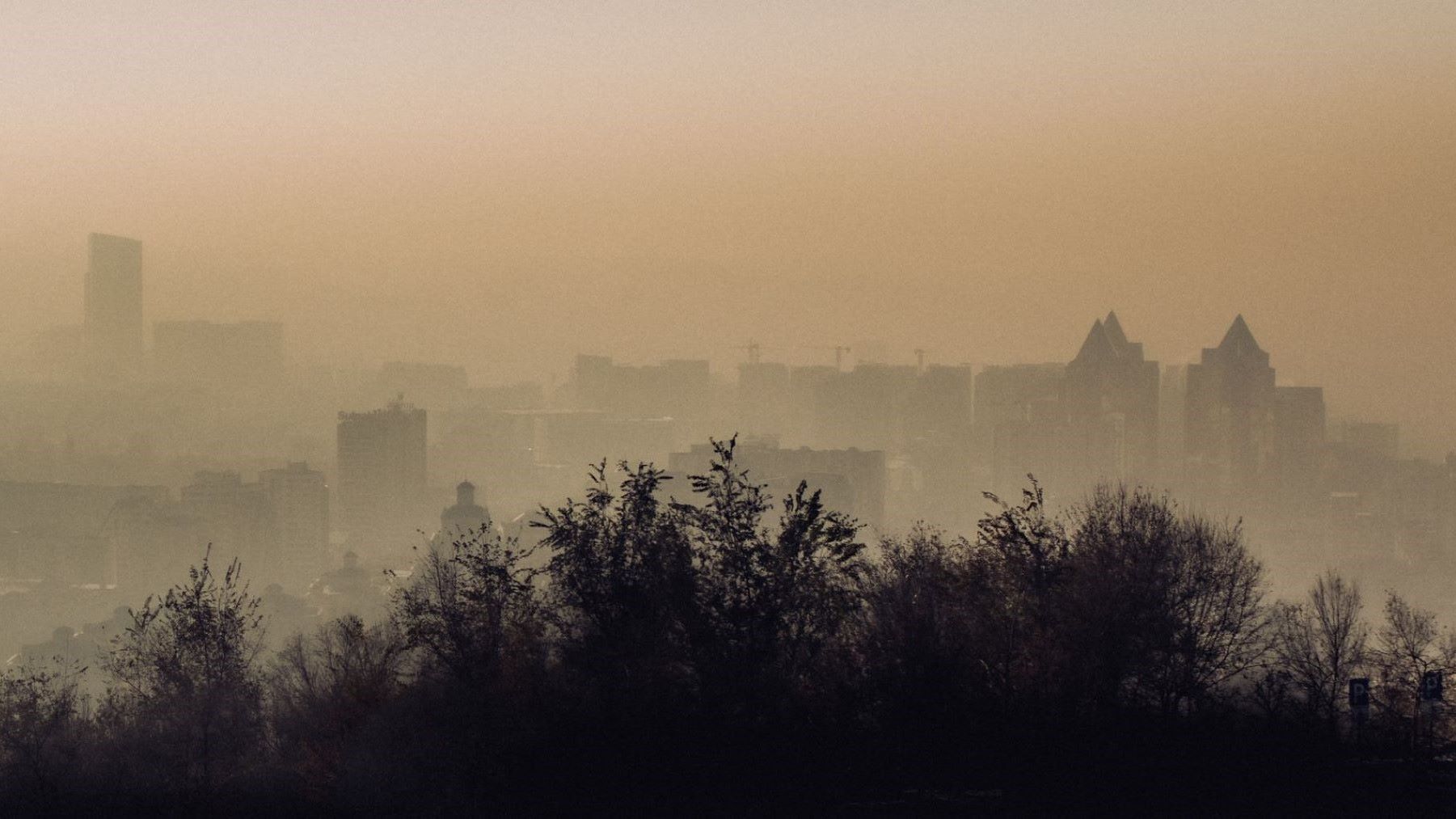 La contaminación del aire incluye partículas PM2,5 y gases invisibles
