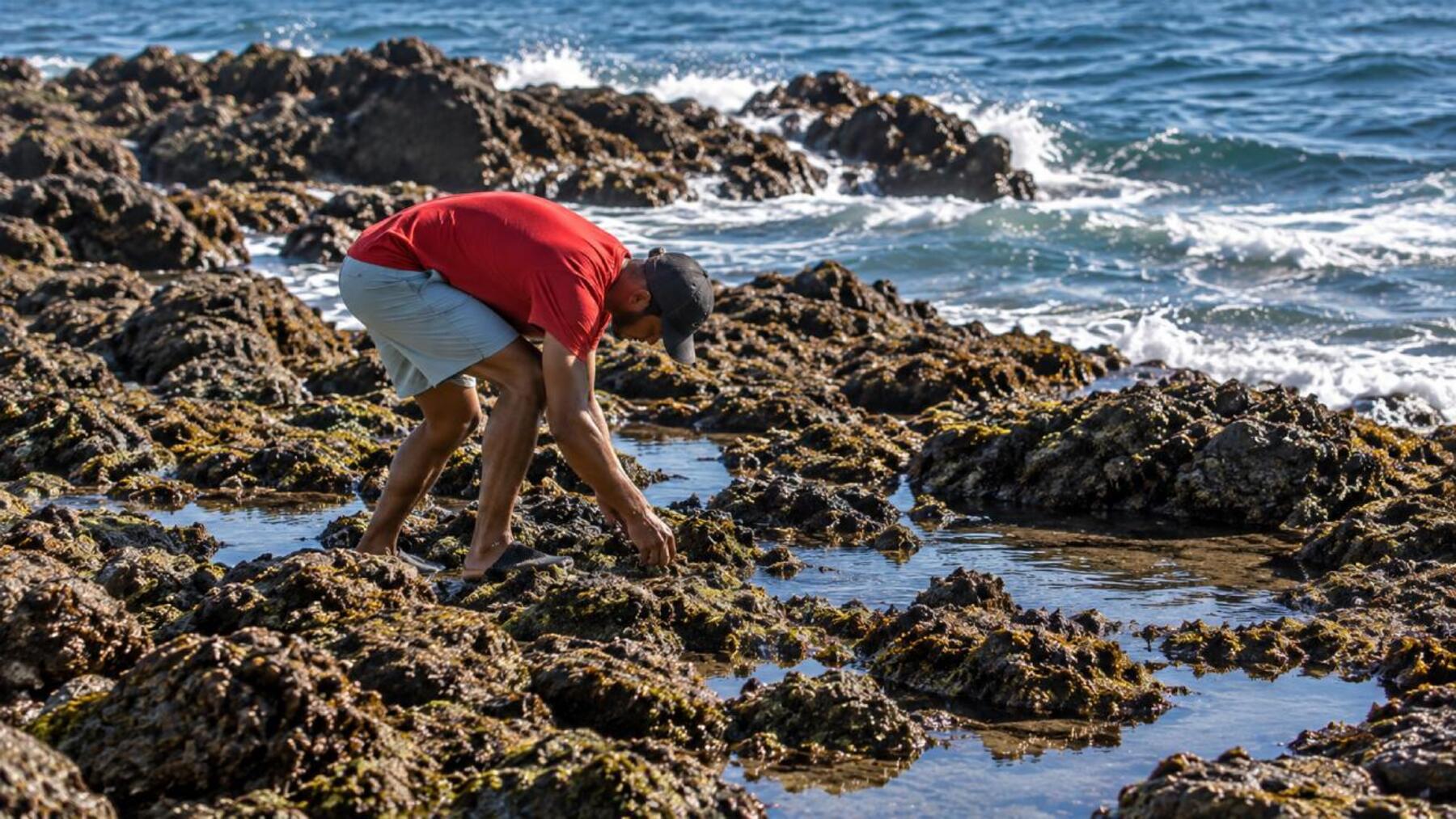 La crisis fronteriza amenaza la biodiversidad de Ceuta