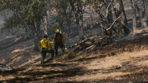 Restaurar el incendio de Niebla costará 404 millones