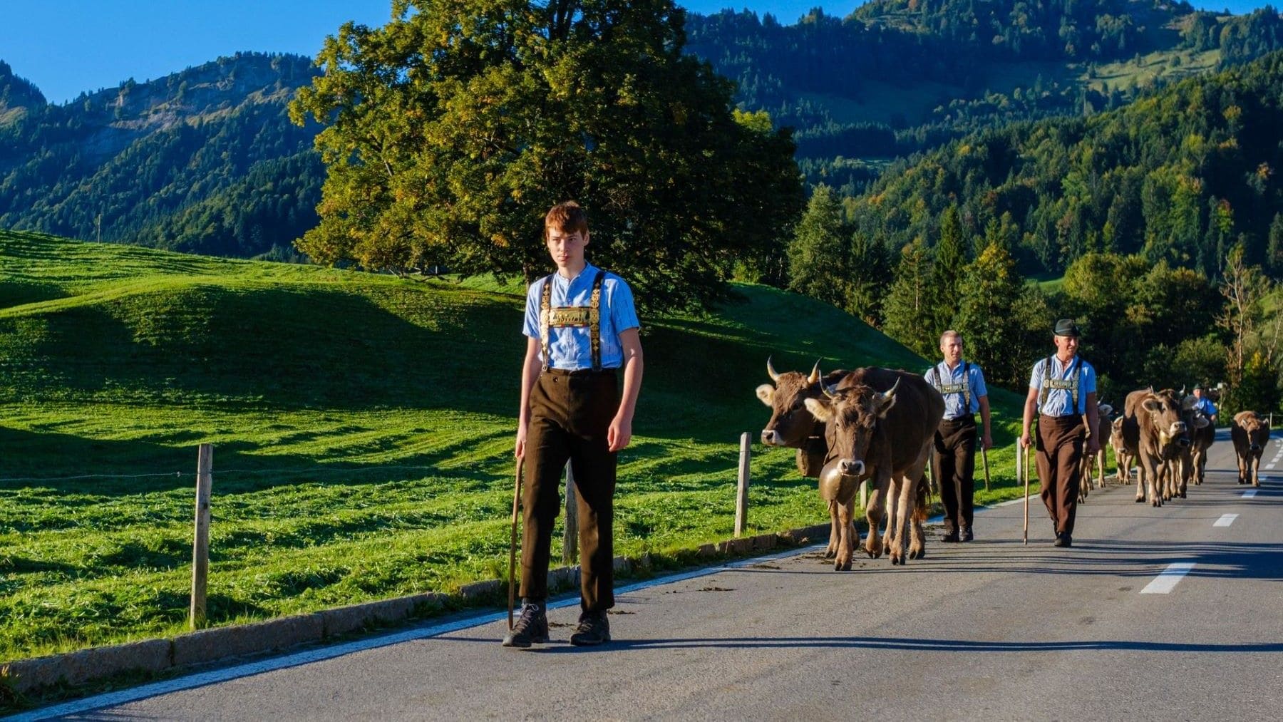 votación sobre la iniciativa alimentaria suiza y el futuro de la producción de alimentos