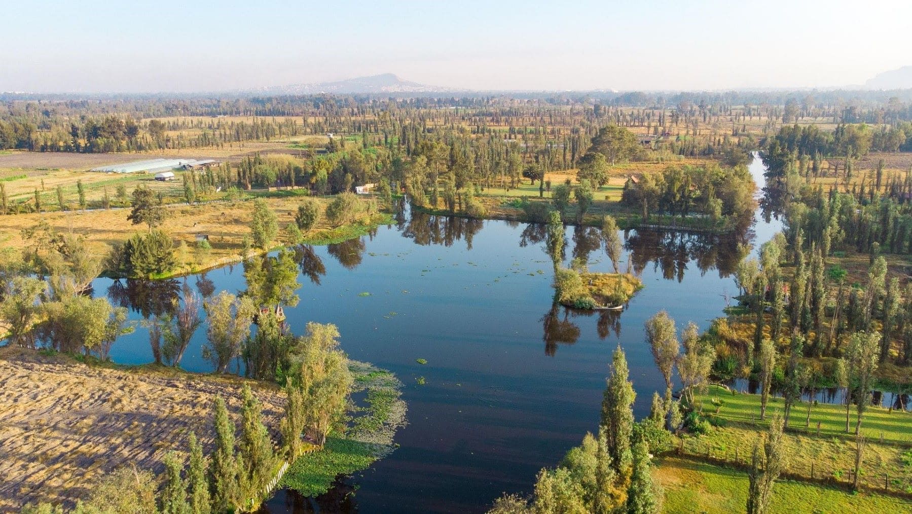 Las chinampas de Xochimilco protagonizan un documental sobre agricultura ancestral