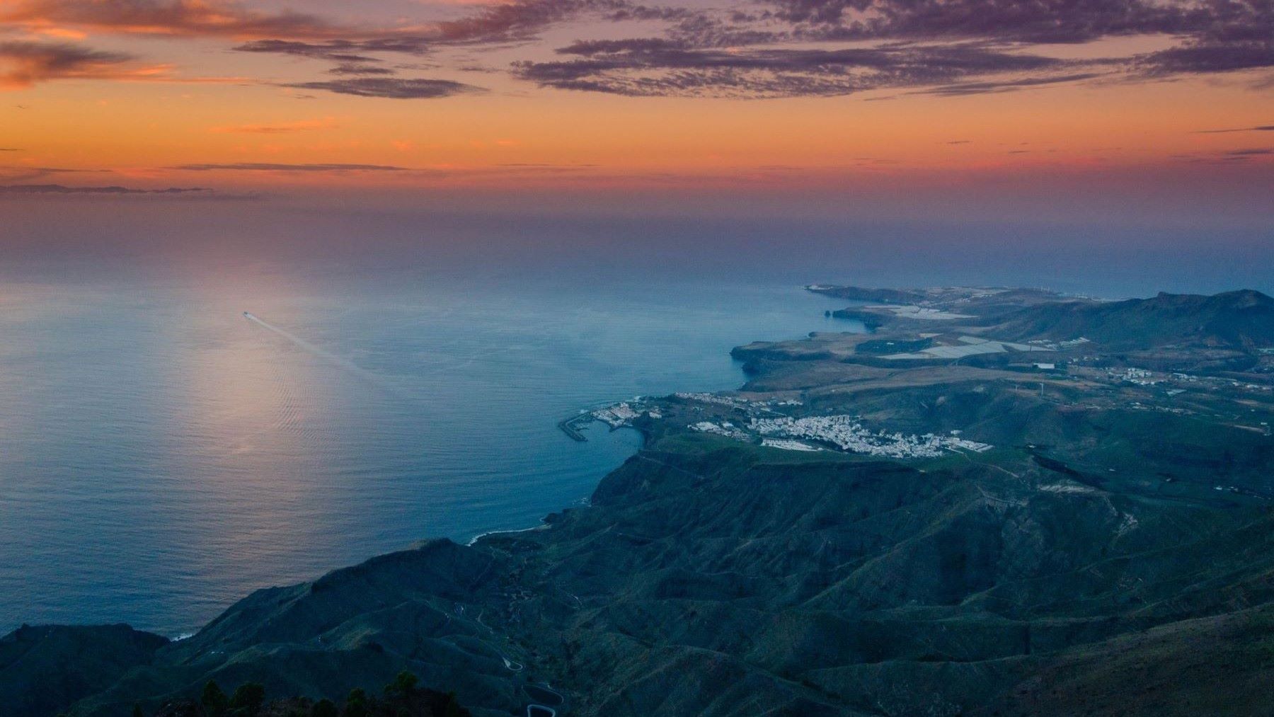 macroalgas de Canarias