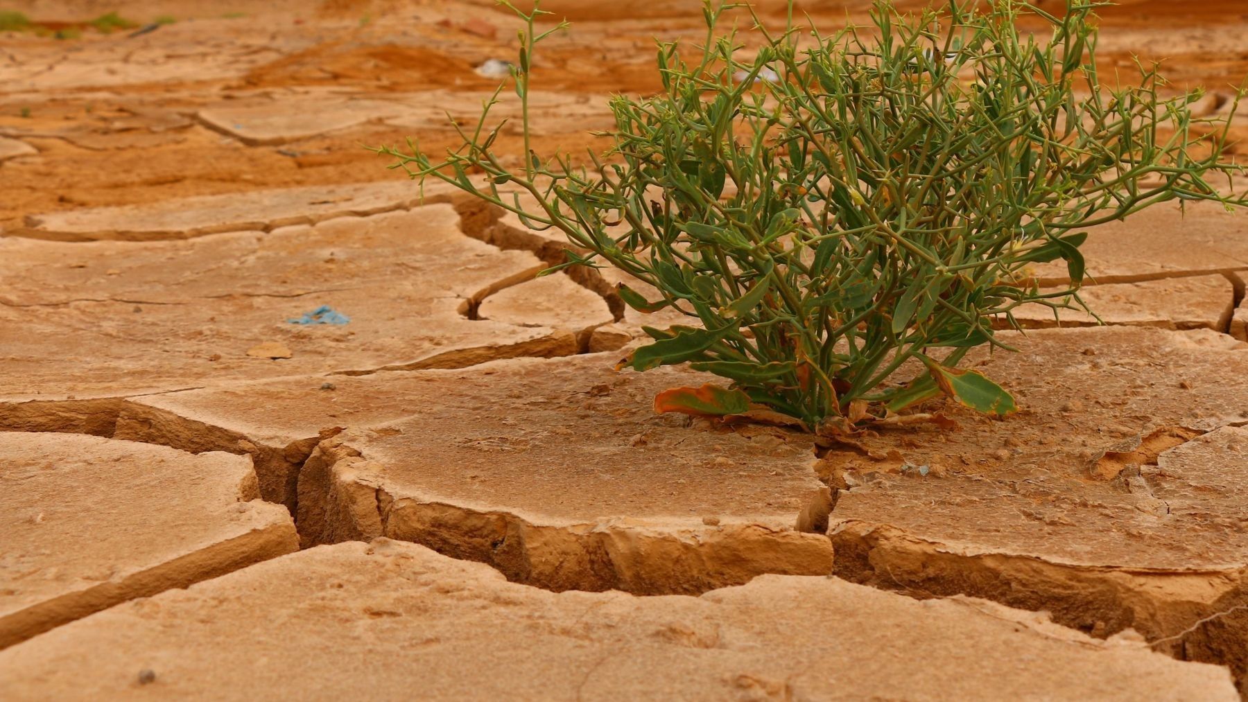 Paisaje afectado por los extremos del clima que analiza el índice actuarial español