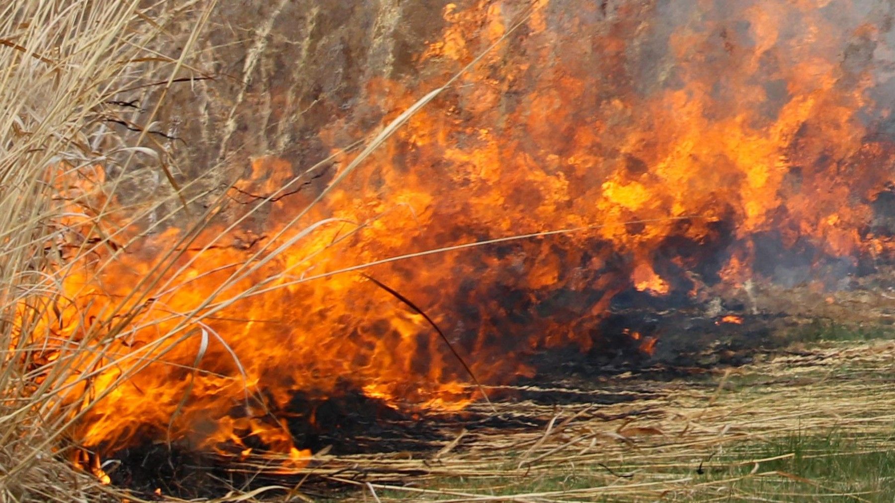 incendios en 2026