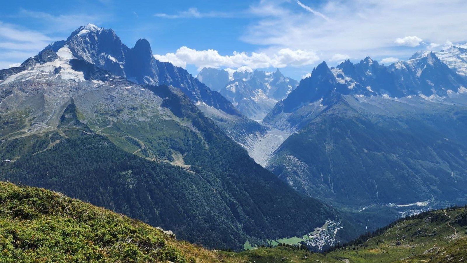 Las plantas de las cumbres europeas afrontan una creciente extinción local por el calentamiento