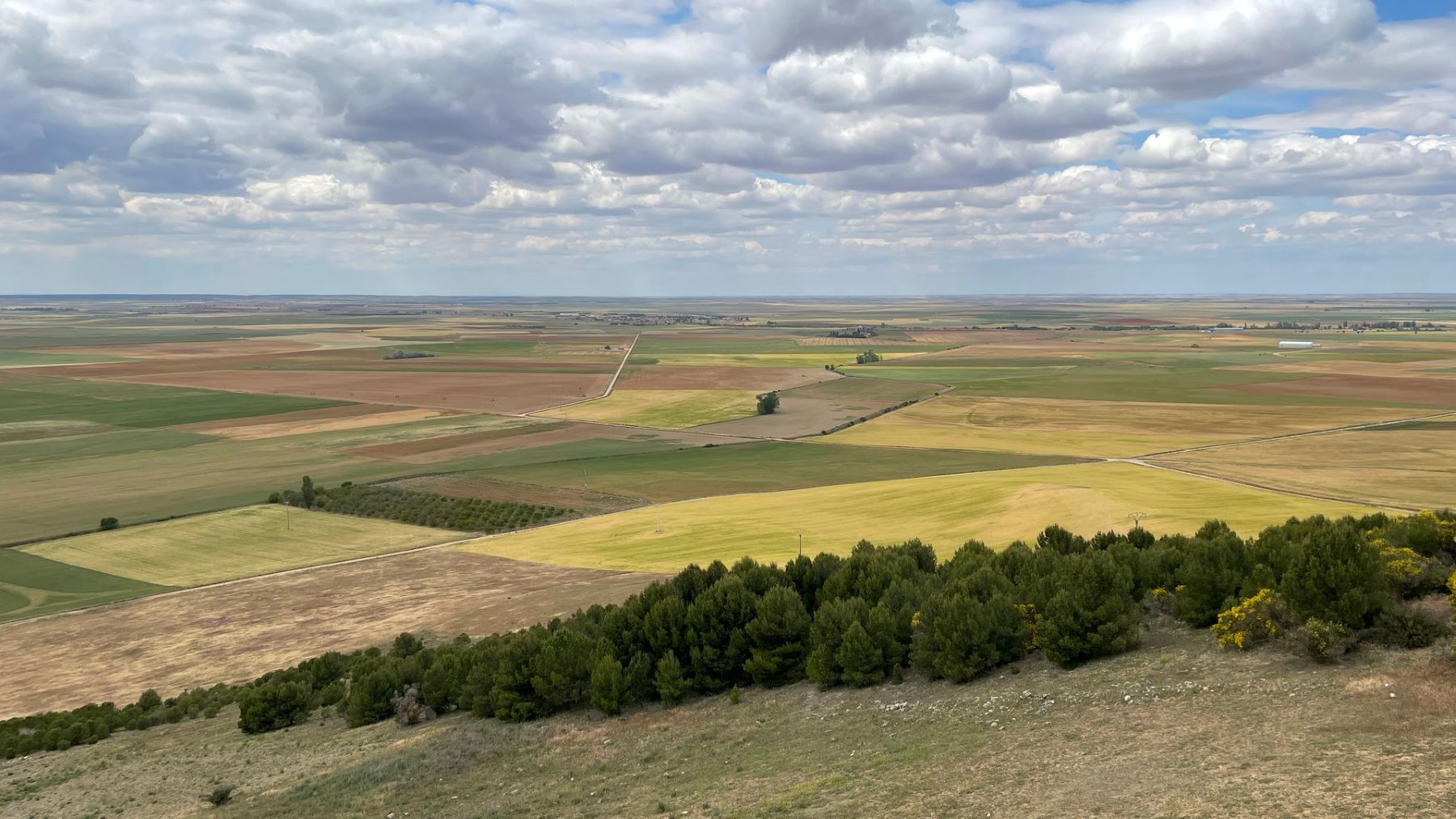 Productores seleccionan alimentos para reducir el desperdicio alimentario en el campo