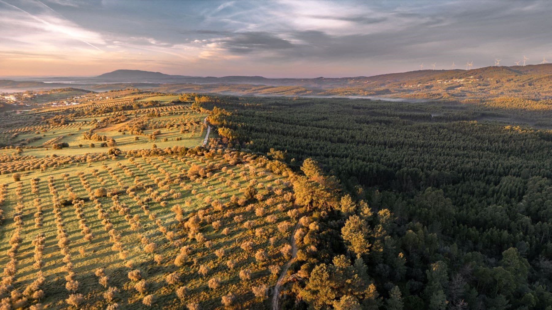 soluciones basadas en la naturaleza frente a los desastres climáticos