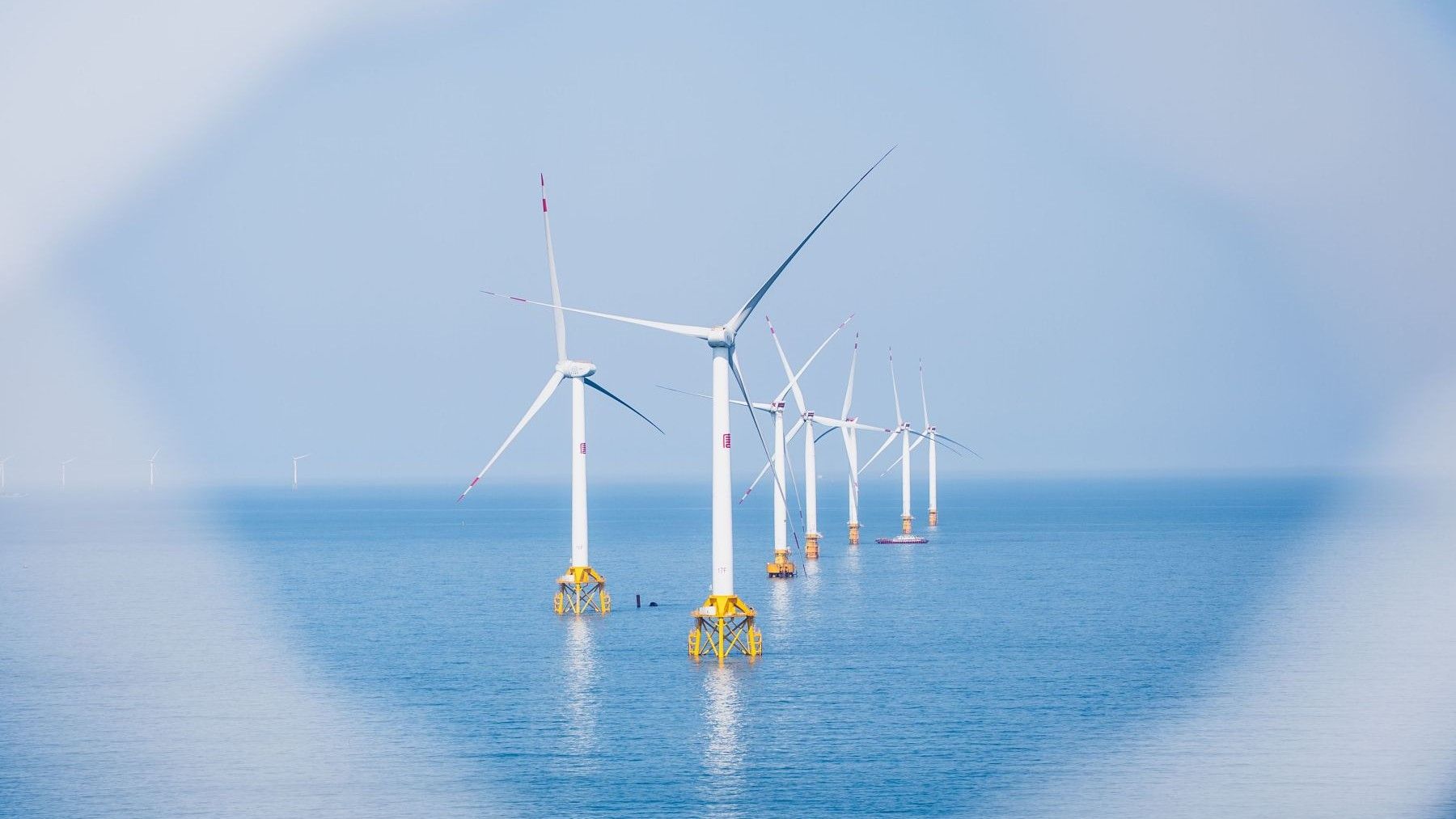 Trump contra la energía eólica marina