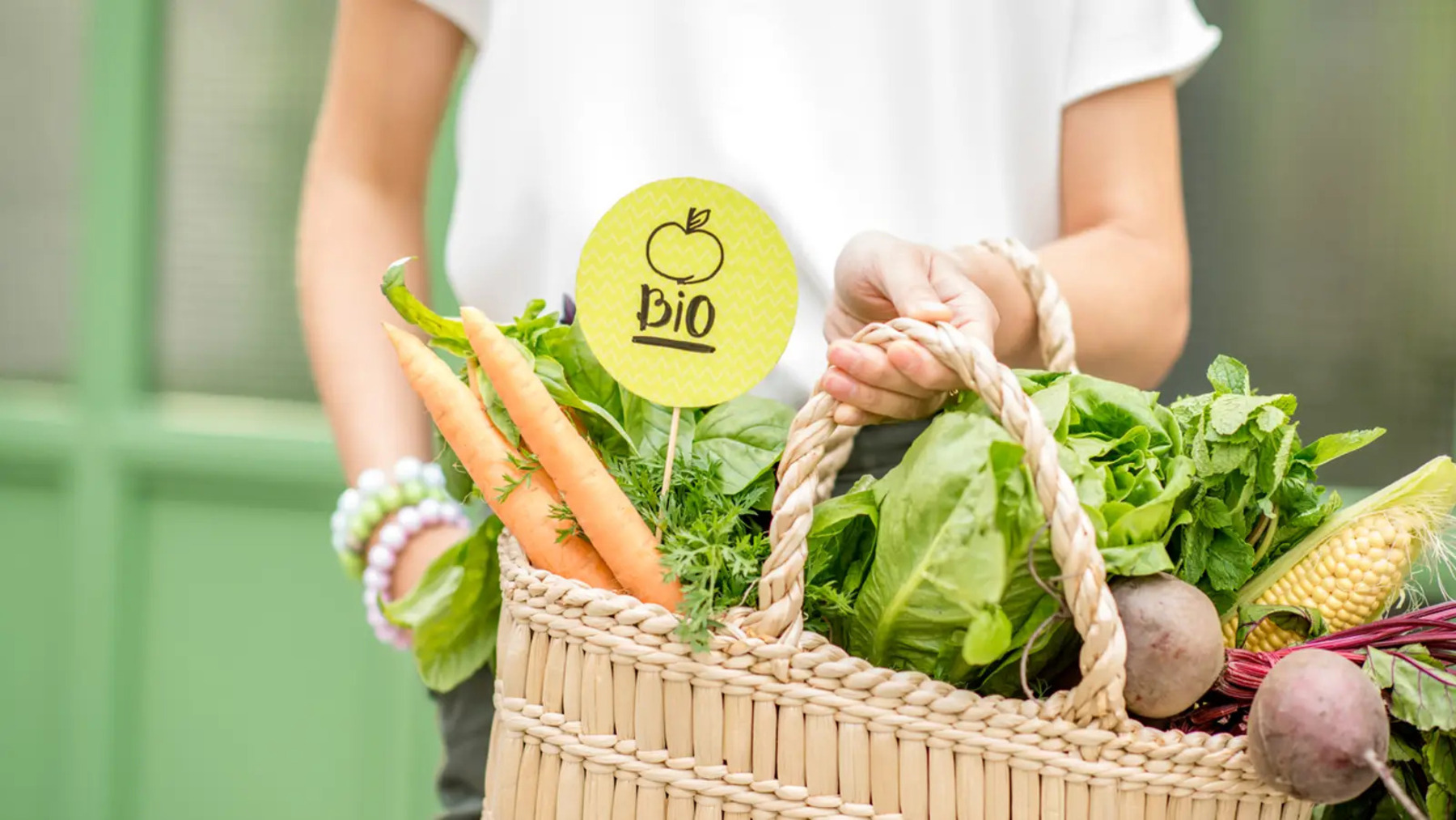 Alimentos bio preparados para un comedor escolar o público