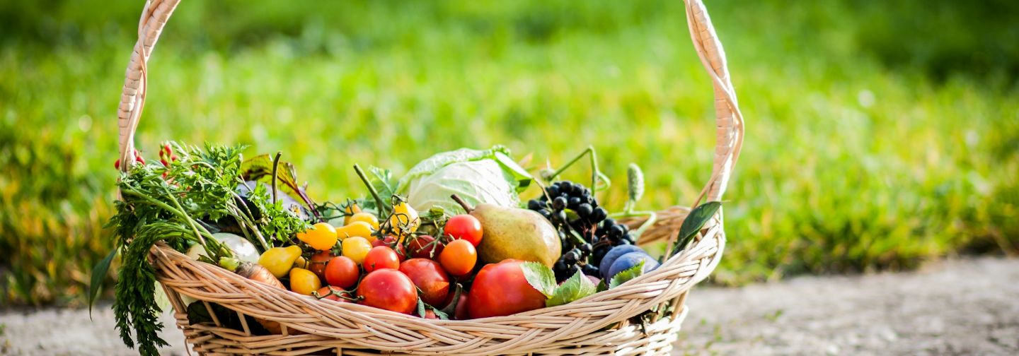 Cesta de frutas y verduras sobre la hierba