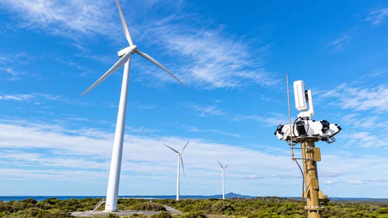 Sistema de cámaras para detectar aves instalado junto a aerogeneradores en un parque eólico
